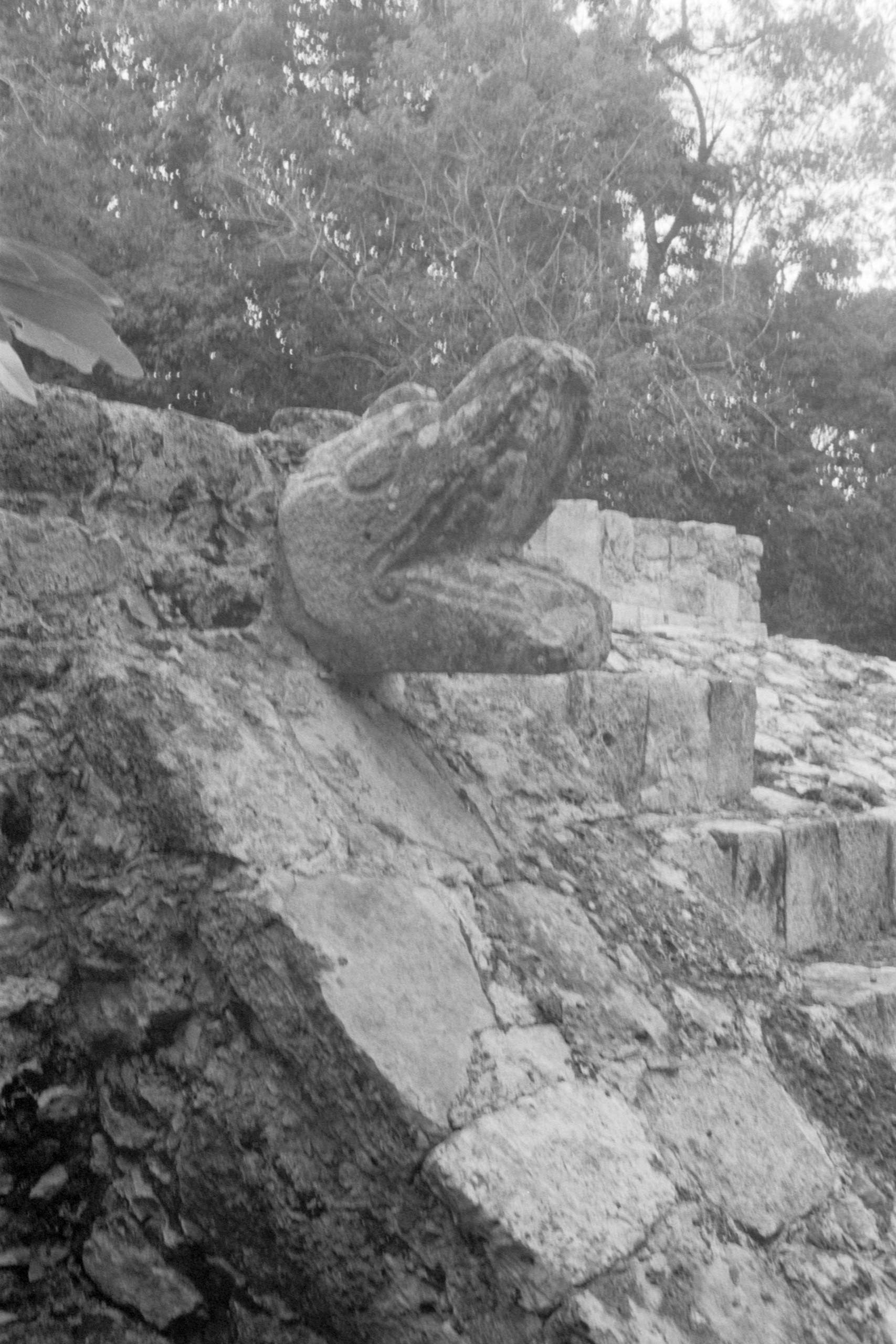 AHP FilmScan 240807 0690